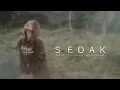 Download Lagu DESSY ANGGREINI BR BANGUN || SEDAK || LAGU GALAU KARO TERBARU 2024 || OFFICIAL MUSIC VIDEO