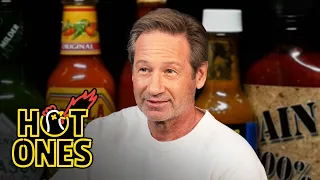 David Duchovny Lives the Technicolor Universe While Eating Spicy Wings Hot Ones