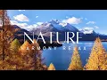 Beautiful October Autumn Forest 4K 🍁 Peaceful Nature Sounds, Healing Music & Deep Relaxation