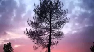 سورة الاعراف تلاوة الشيخ ياسر الدوسري Quran Kareem Yaseer Aldosry 