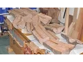Dissecting a Tree