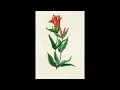 Serpent Lullaby (slowed +reverb)