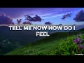 Dubdogz, FEZZO, Zaark - How Does It Feel (Lyrics)