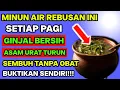 Lagu Jangan Remehkan Air Rebusan Ini…! Bisa Bersihkan Darah, Ginjal, dan Turunkan Asam Urat Sekaligus