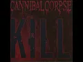 Death Walking Terror - Cannibal Corpse