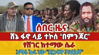ሸኔ ፋኖ ላይ ተኮሰ በምንጃር የሸገር ከተማው ሴራ አማራ ኩሩ ነው አነጋፋዋ ፖለቲከኛ 
