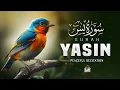 Surah Yasin (Yaseen) سورة يس | Let This Recitation Fill You with Serenity | Basair TV