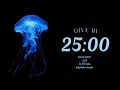 Download Lagu 25/5 pomodoro timer | 2 x 25 minute⏱ | one hour session | jellyfish visuals ᯓ🪼₊⊹| lo-fi beats ♫₊˚.🎧