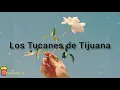 Amor Platónico - Los Tucanes de Tijuana (Letra)