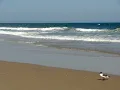 The Atlantic Ocean on a cool breezy mid-May day at the Margate NJ beach