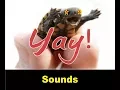 Yay Sound Effects All Sounds