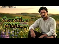 Love Like A Wildflower ~ Josh Roman 🎻 (OFFICIAL MUSIC VIDEO) 