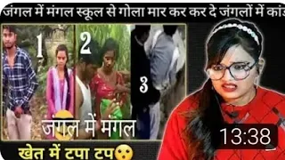 amazing facts about forest reaction sweet chilliz