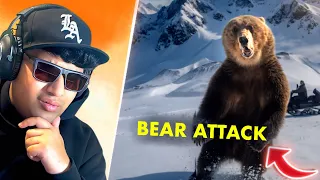 ZDOTSS REACTS TO WILD ANIMAL ENCOUNTERS!!