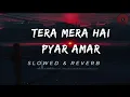 Download Lagu Tera Mera Hai Pyar Amar | Ishq Murshid OST | Slowed \u0026 Reverb | Best Music | Z Music