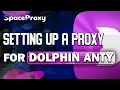 Guide How to Setup a Proxy in Dolphin Anty SpaceProxy
