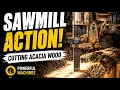 LIVE Making a Wooden Stool Extreme Acacia Wood Cutting Sawmill Action