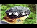 E E - Dreaming hayden kolb remix