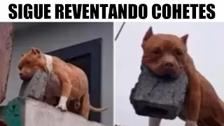 MEMES QUE NO DEBERIAS VER #4  - SRRED