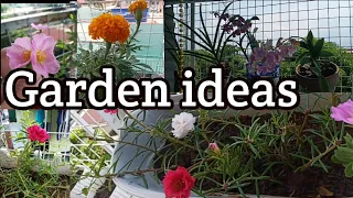 Garden ideas l Rooftop gardening l How to grow plants in a pot l Container Gardening ideas