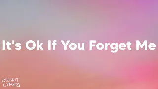 Astrid S - It's Ok If You Forget Me (Lyrics)