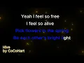 Hive CoCoHart Karaoke Version