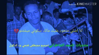 الفنان امجد الشاطرابي 