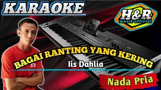 Download KARAOKE BAGAI RANTING KERING [ Iis Dahlia ] - NADA PRIA MP3