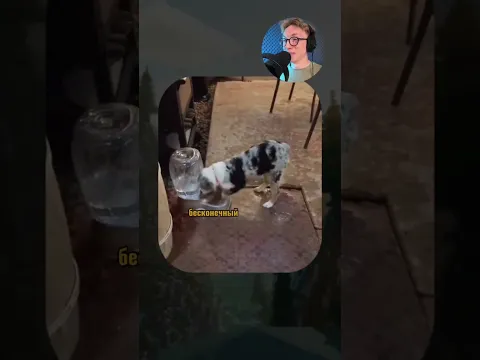 ВИРУСНЫЕ ВИДЕО / Кот испугался собственного хвоста 😂