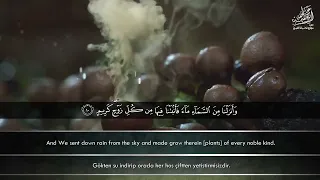 هذا خلق الله فاروني ماذا خلق الذين من دونه   الشيخ المنشاوي دندنها