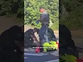New footage of fatal ICE-involved Maine shooting emerges