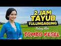 Download Lagu TAYUB TULUNGAGUNG Asli | Irama Khas Jawa Timur yang Bikin LELAH HILANG