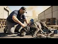 rescue animal: Rescuing mother dog stuck in garbage in industrial