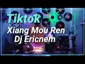 Download Lagu Tiktok Viral | Xiang Mou Ren 想某人 Remix | Dj Ericnem