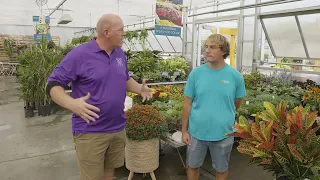 Ted Lare Garden Center
