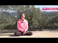 What does it mean when a Chakra is closed?