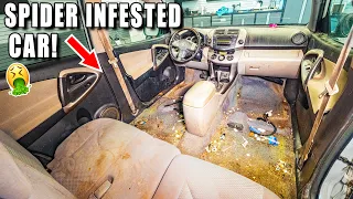 Cleaning The NASTIEST Car Infested With Spiders!