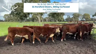 Auctions Plus NJ SG SMITH KATALPA