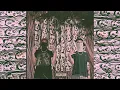 Download Lagu Polo Z x JKB - No Signal (Official Album)
