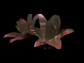 Tom Demac & Real Lies "White Flowers (Edit)" (Official Video)