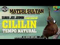 Download Lagu MATERI SULTAN || CILILIN GACOR  || TEMPO NATURAL || DURASI 4 JAM SUARA JERNIH BOSKU.!! #cililingacor