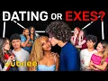 Download Lagu 6 exen versus 1 geheim koppel | De vreemde eend in de bijt