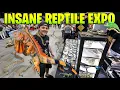Full Walk-Through of Largest Reptile Expo