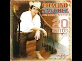 El Gallo de Sinaloa