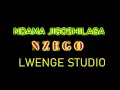Download Lagu NDAMA JIGOSHILAGA UJUMBE WA NZEGO BY LWENGE STUDIO