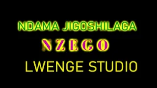 ndama jigoshilaga ujumbe wa nzego by lwenge studio