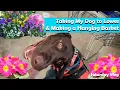 Shopping With My Dog at Lowes Making a Hanging Basket Saturday Vlog