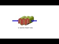 Types of Folds