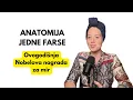 Download Lagu Anatomija jedne farse | Nobelova nagrada za mir
