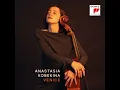 Cello Concerto in A Minor, RV 419: III. Allegro